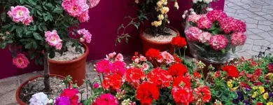 La imagen 5 de la Empresa EDEN ARTE FLORAL Mayoristas en Toledo TO