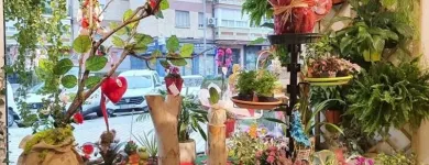 La imagen 5 de la Empresa FLORISTERÍA CAMINO DE ROSAS Industrias y Agricultura en Leganés M