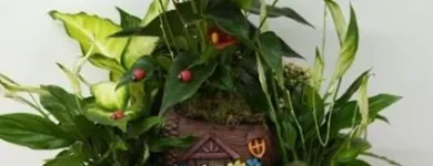 La imagen 6 de la Empresa FLORISTERÍA CAMINO DE ROSAS Industrias y Agricultura en Leganés M