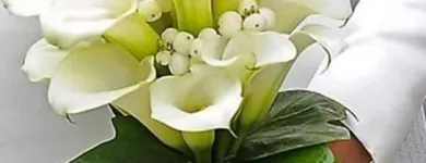La imagen 7 de la Empresa FLORISTERÍA CAMINO DE ROSAS Industrias y Agricultura en Leganés M