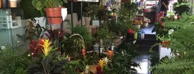 La imagen 4 de la Empresa FLORISTERÍA DECOFLOR Organizador de Bodas en Toledo TO