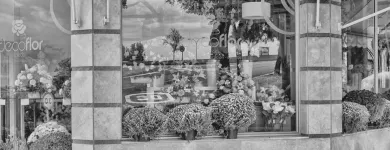 La imagen 5 de la Empresa FLORISTERÍA DECOFLOR Organizador de Bodas en Toledo TO
