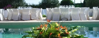 La imagen 3 de la Empresa FLORS I VERDESCA Industrias y Agricultura en Palma de Mallorca IB