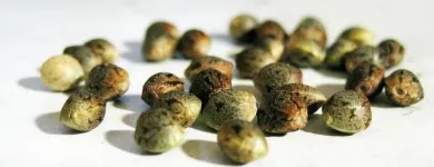 La imagen 1 de la Empresa GRACE GENETICS SL Proveedor de Semillas en Barcelona B