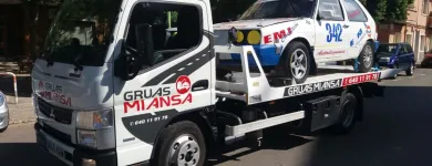 La imagen 2 de la Empresa GRÚAS MIANSA Servicios Profesionales y de Negocios en Palma IB