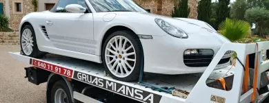 La imagen 16 de la Empresa GRÚAS MIANSA Servicios Profesionales y de Negocios en Palma IB