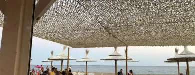 La imagen 5 de la Empresa JOSE LUIS SEGUNDO MURIANA Servicios Profesionales y de Negocios en Palma IB