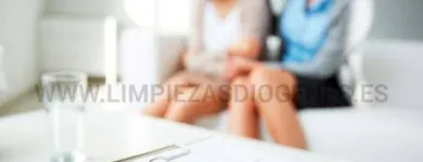 La imagen 1 de la Empresa LIMPIEZAS DIOGENES Limpiezas Tecnicas en Madrid M