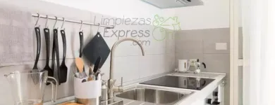 La imagen 1 de la Empresa LIMPIEZAS EXPRESS Limpiezas Tecnicas en Madrid M