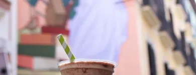 La imagen 3 de la Empresa LLAOLLAO Vitaminas y Suplementos Alimenticios en Torrelodones M