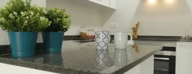 La imagen 5 de la Empresa NETGREEN. HOME STAGING BARCELONA Servicios y Equipos de Limpieza en Montmeló B
