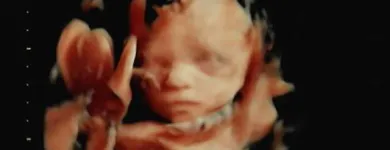 La imagen 7 de la Empresa SAMARANCH CONSULTA Medicos Especialistas: Ginecologia Y Obstetricia en Barcelona B