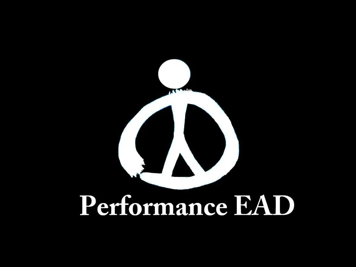 La imagen 17 de la Empresa PERFORMANCE EAD