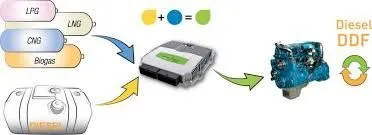 La imagen 5 de la Empresa DOSSAN EAGLE