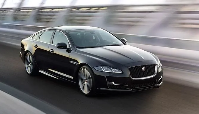 La imagen 5 de la Empresa JAGUAR DONNAY