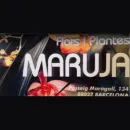 FLORS I PLANTES MARUJA Industrias y Agricultura en Barcelona B