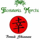 FLORISTERÍA MERCHI - BONSÁI SHIAWASE