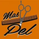 MASPEL